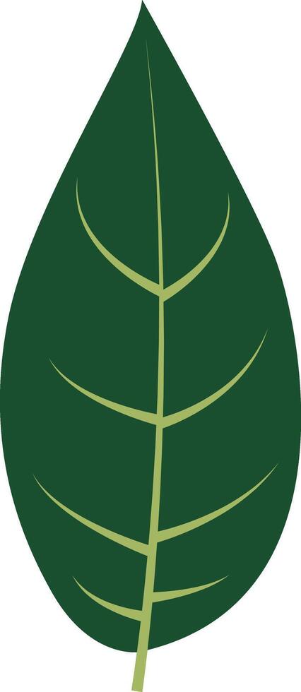Tropical Leaves Clipart. Isolated on White Background. vector
