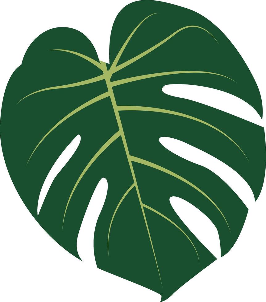 Tropical Leaves Clipart. Isolated on White Background vector