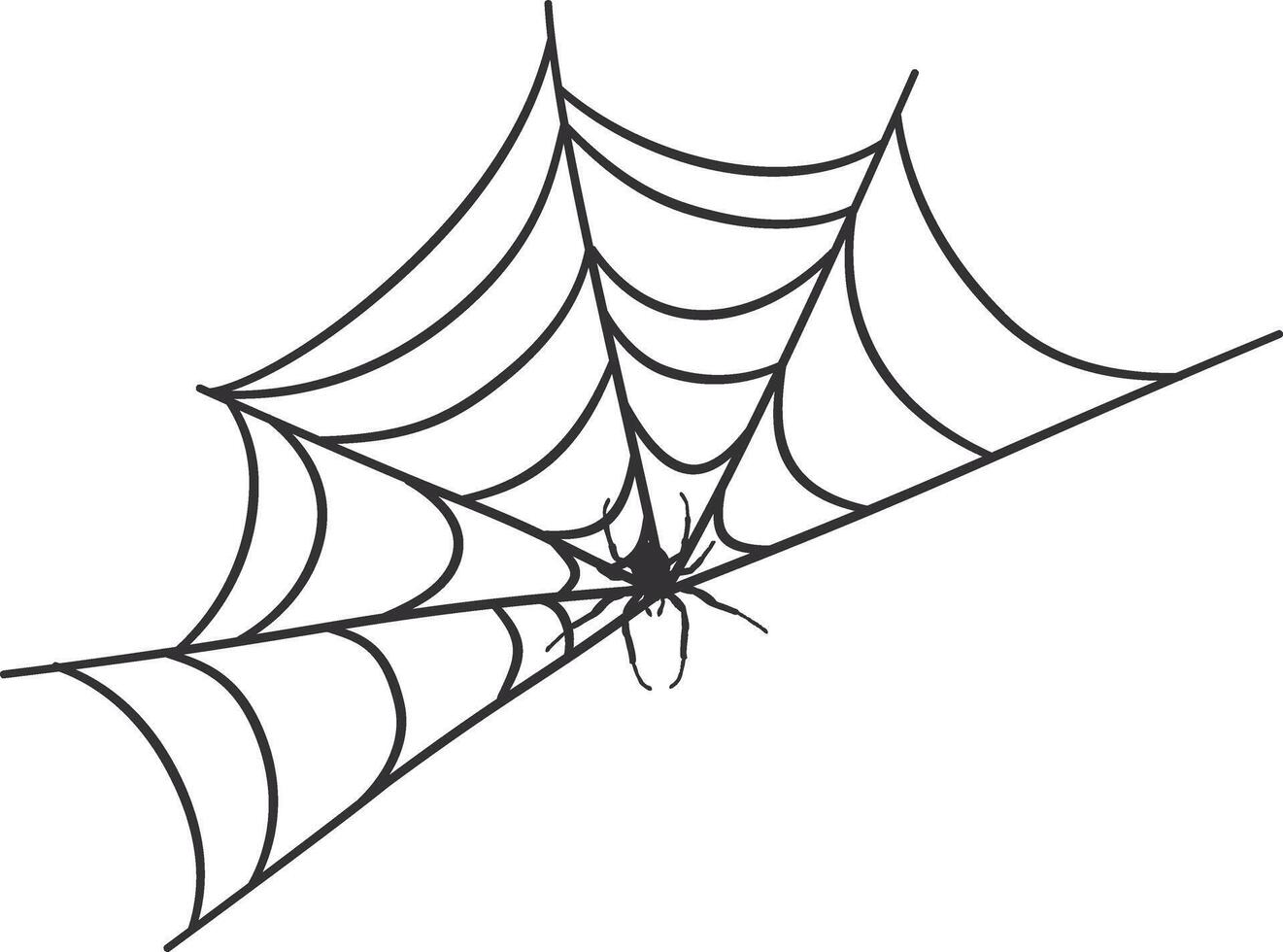 Spider Web Decorative Isolated on White Background, vector