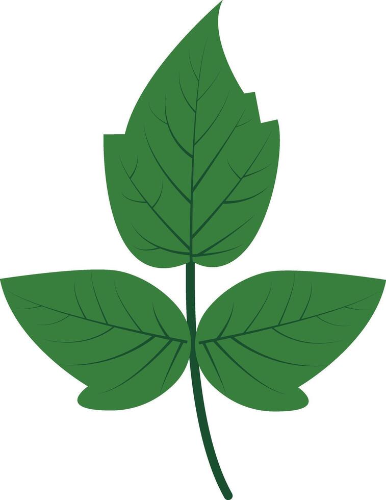 Tropical Leaves Clipart with Cartoon Design. vector