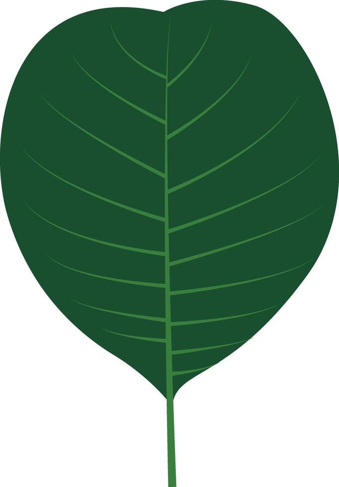 Tropical Leaves Clipart in Cartoon Design, Isolated on White Background vector