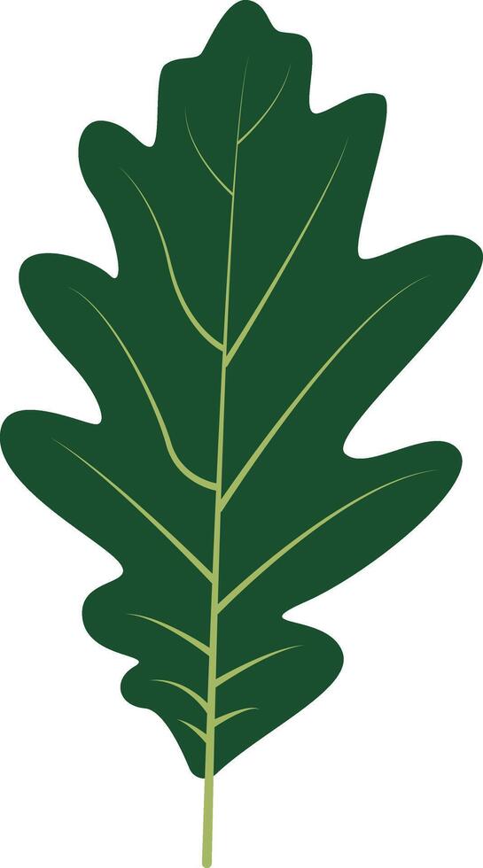 Tropical Leaves Clipart Isolated on White Background. vector