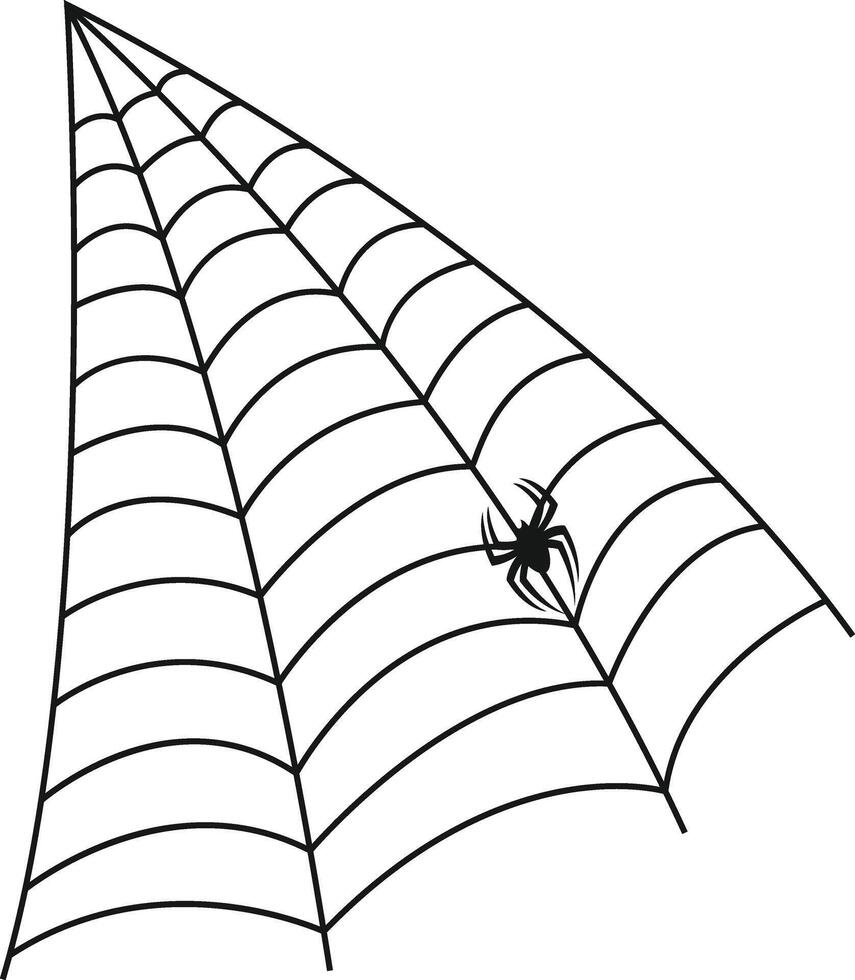 Spider Web Halloween Illustration on White Background. vector