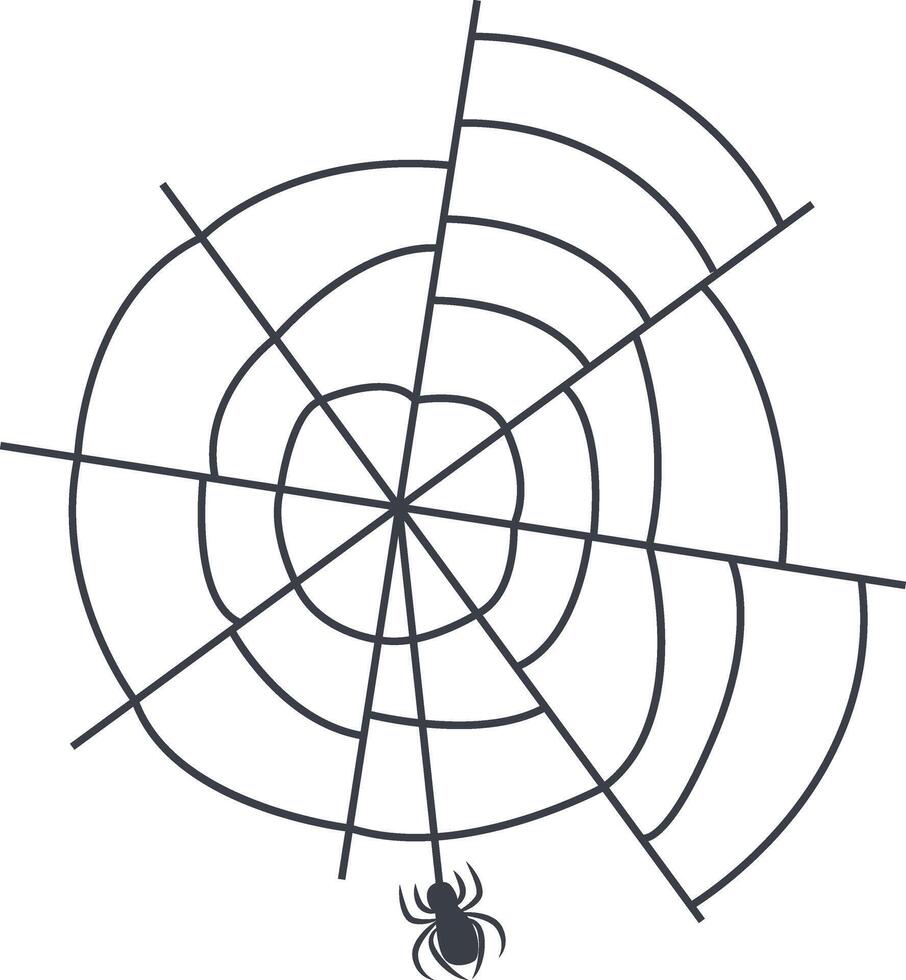 Spider Web Icon. vector