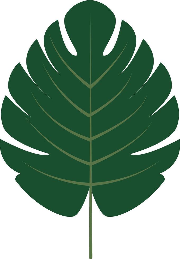 Tropical Leaves Clipart in Cartoon Design. Isolated on White Background. vector