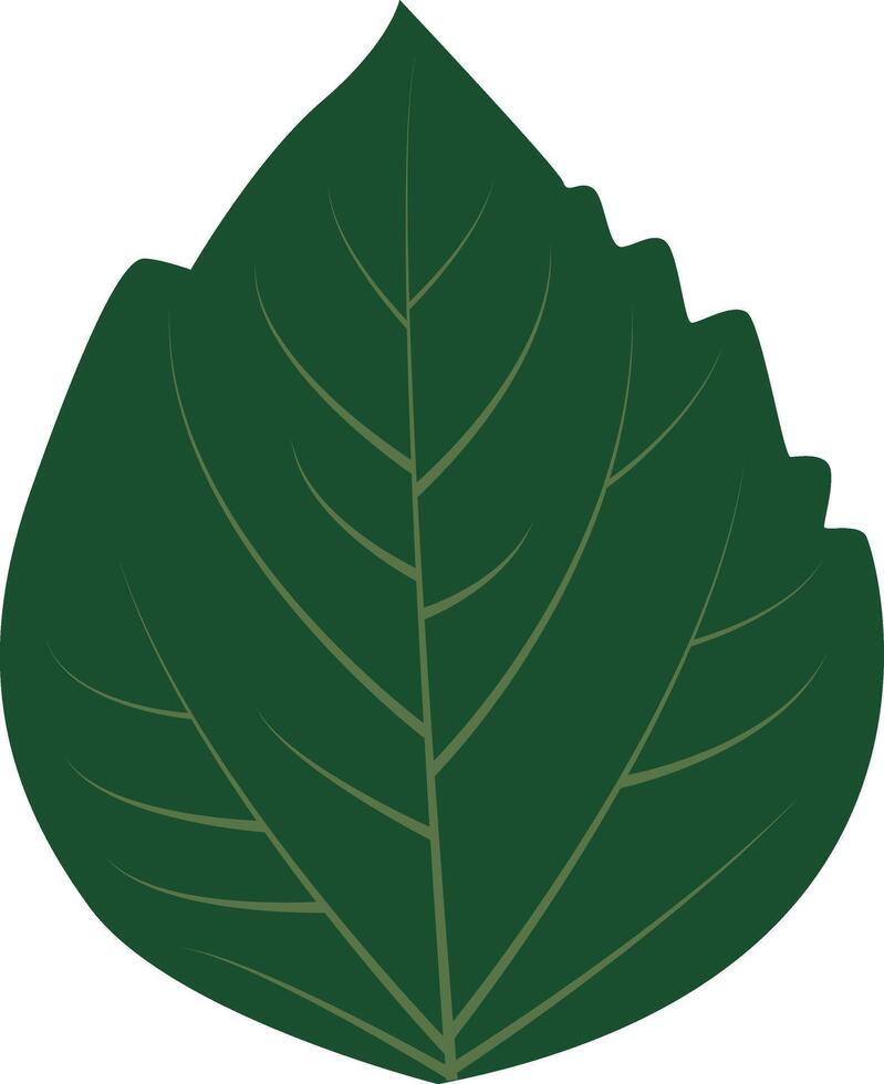 Tropical Leaves Clipart vector