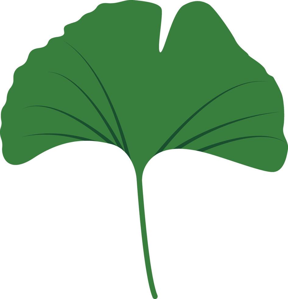 Tropical Leaves Clipart in Flat Design vector