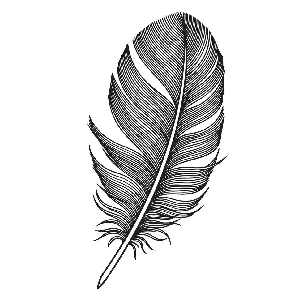 Delicate black and white illustration of a single bird feather showcasing intricate details perfect for design concepts vector