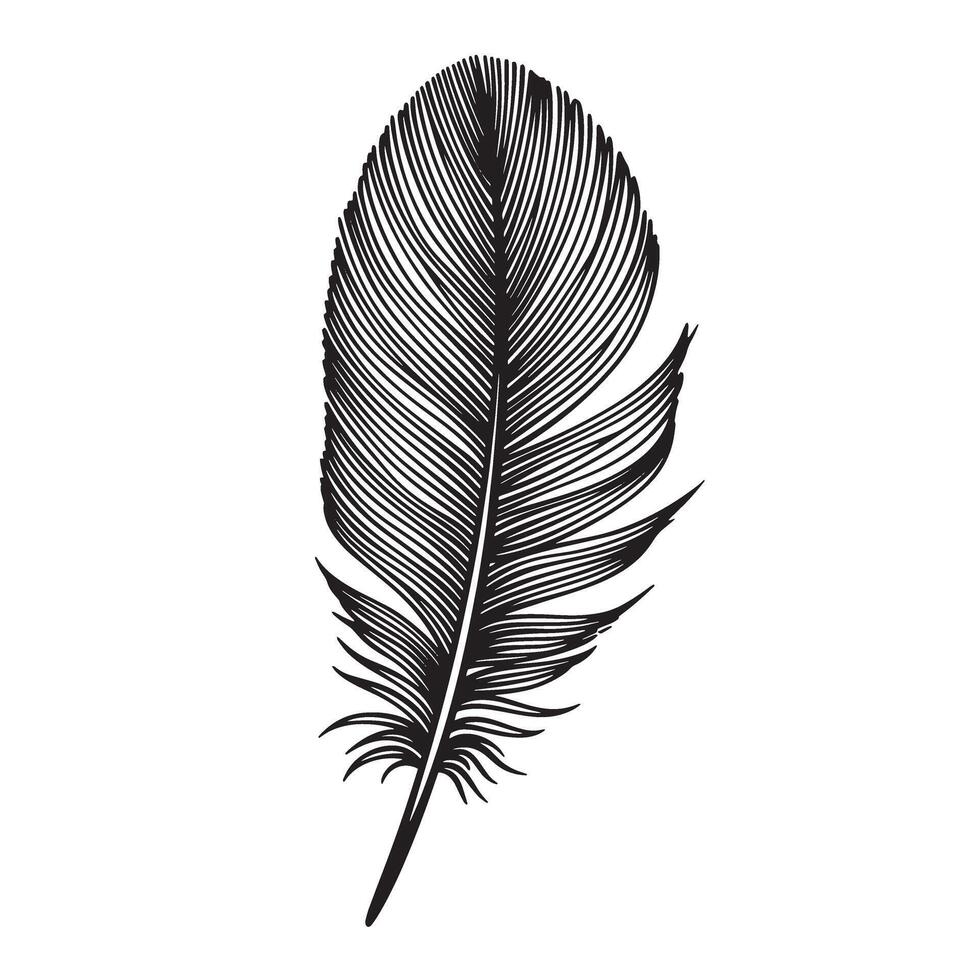 Detailed hand drawn black and white silhouette illustration of a bird feather showcasing intricate feather details isolated on white background vector
