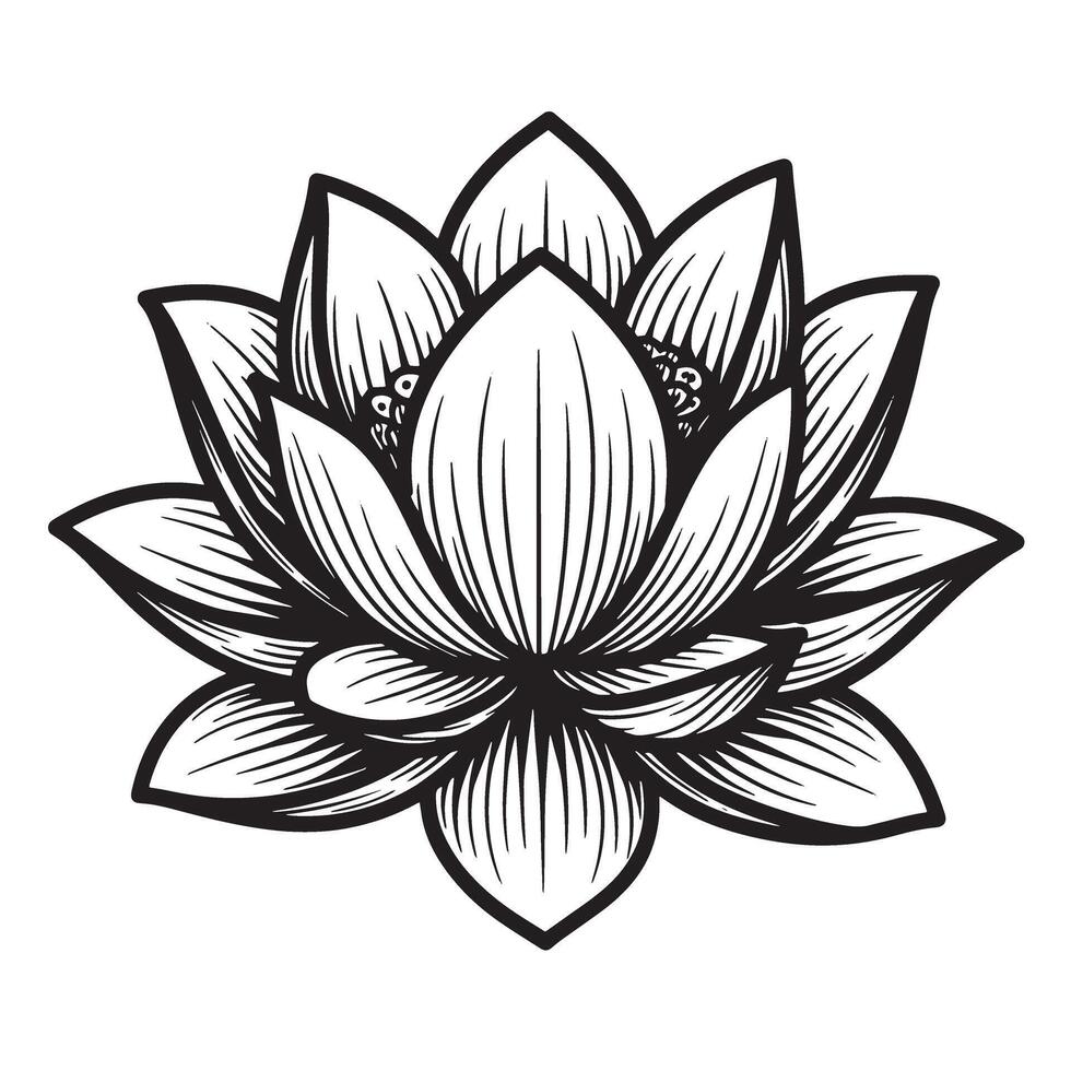 Elegant black and white silhouette illustration of a beautiful lotus flower isolated on white vector