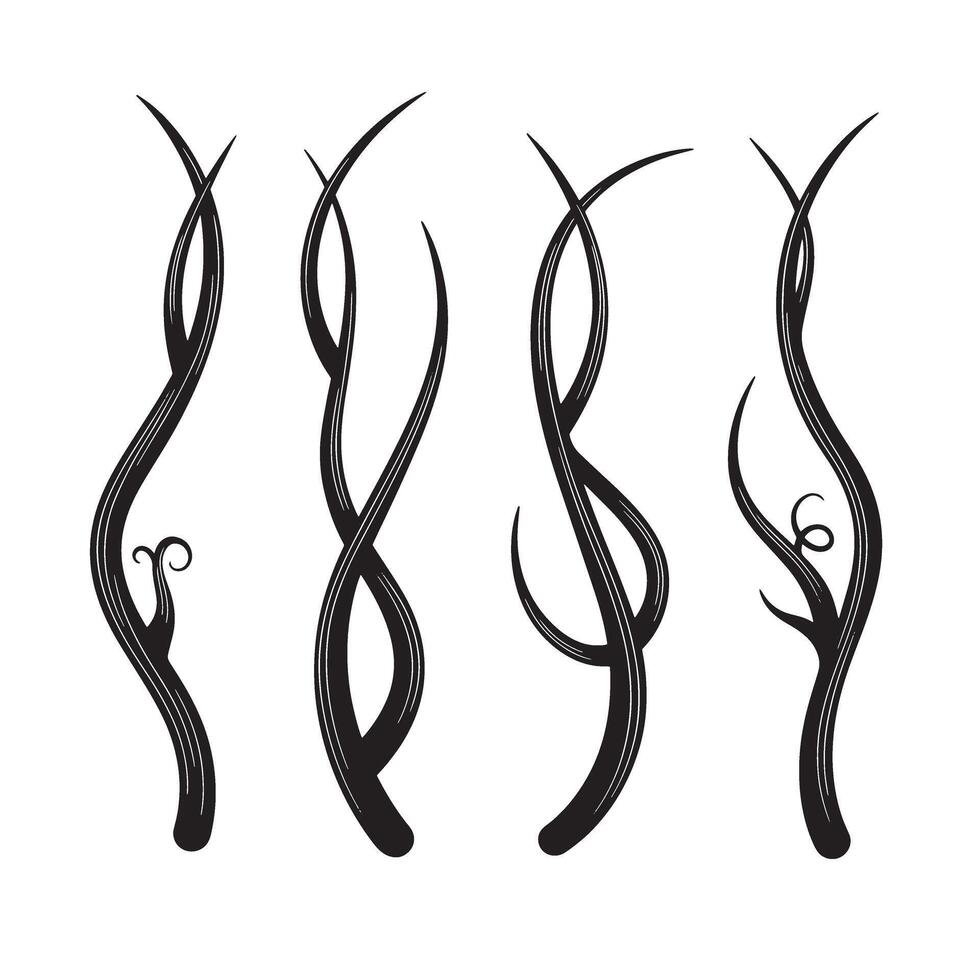 Elegant silhouette designs featuring curving decorative plant stems with detailed outlines vector