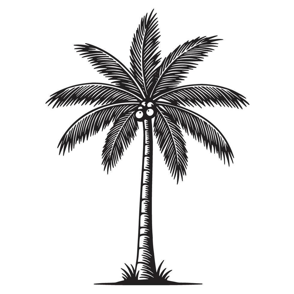 illustration of a detailed silhouette palm tree in a vintage engraved style isolated vector