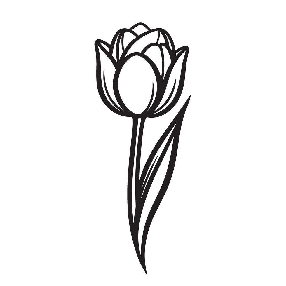 Elegant black and white silhouette illustration of a single blooming tulip flower vector
