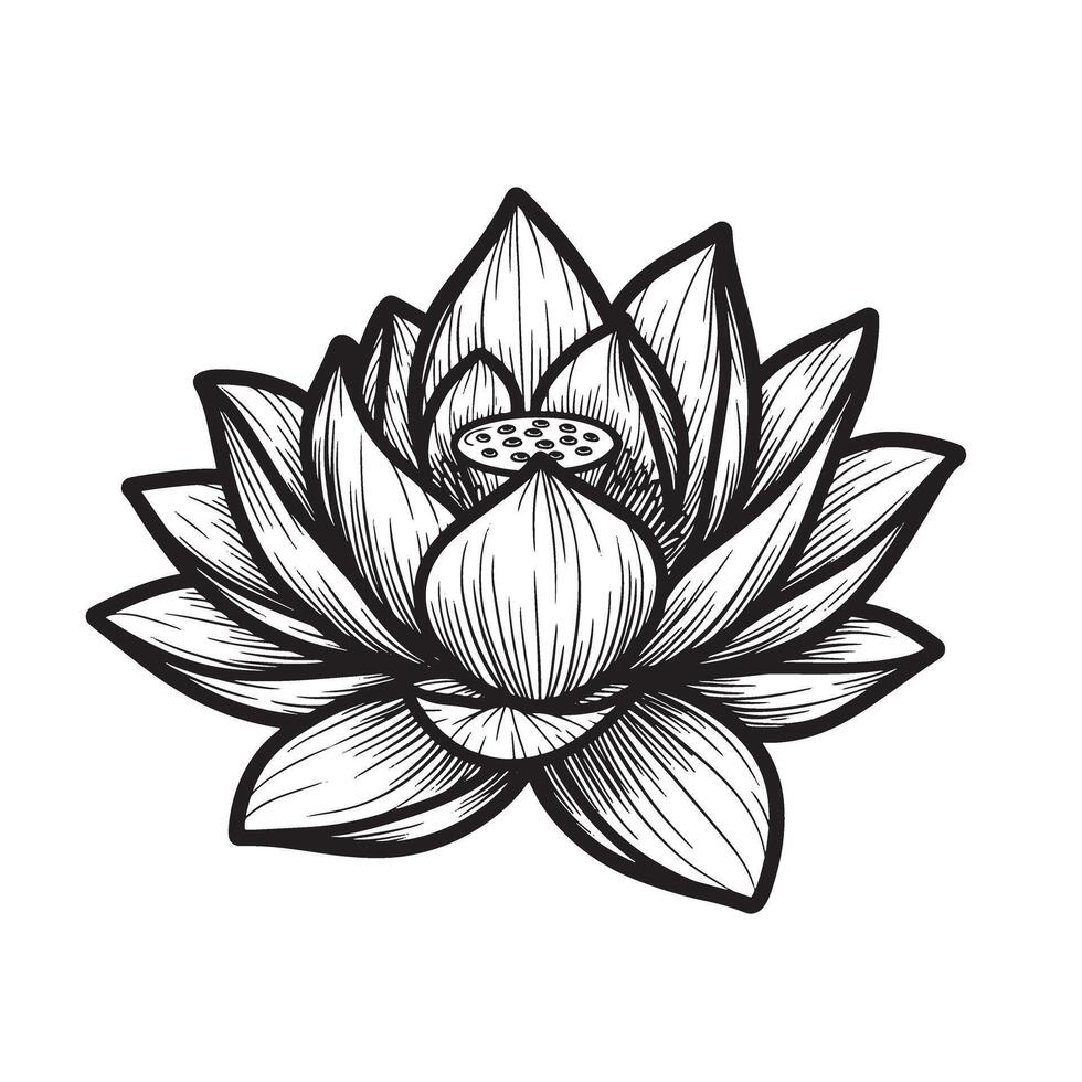 Exquisite black and white silhouette illustration of a detailed lotus flower design vector