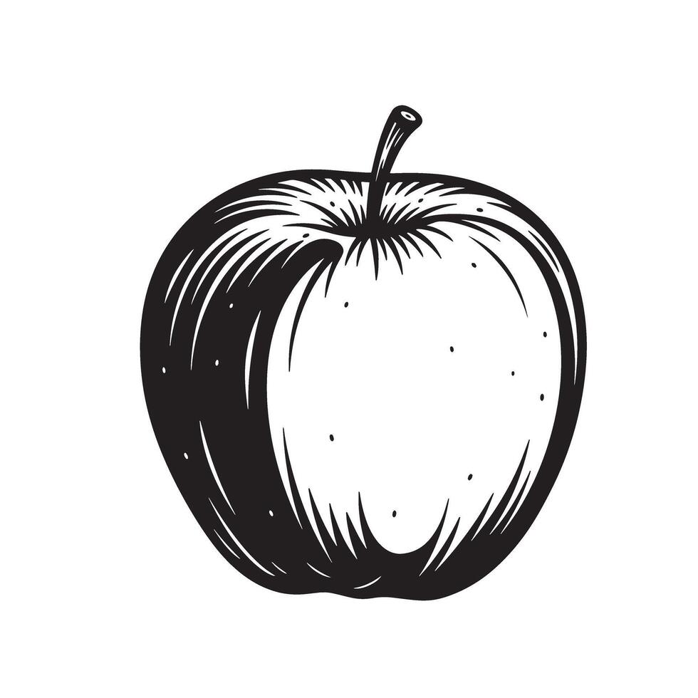 Apples silhouette Vintage Art apple illustration fresh fruit logo style vector