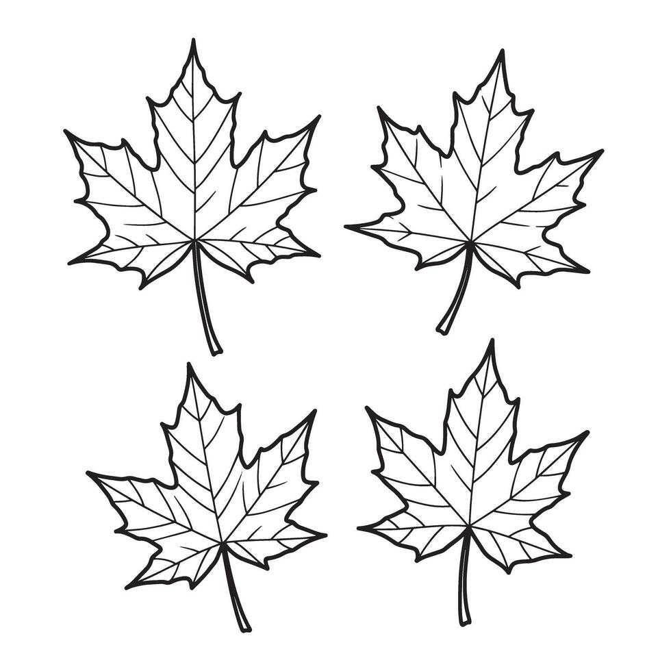 Simple silhouette of four maple leaves on white background suitable for design elements vector