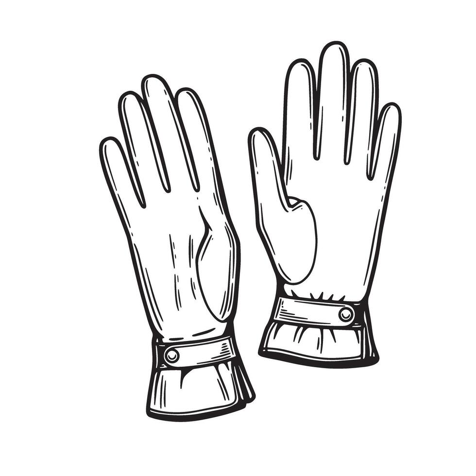 Elegant hand drawn illustration of a pair of vintage leather gloves with detailed lining and cuff details ready for design vector