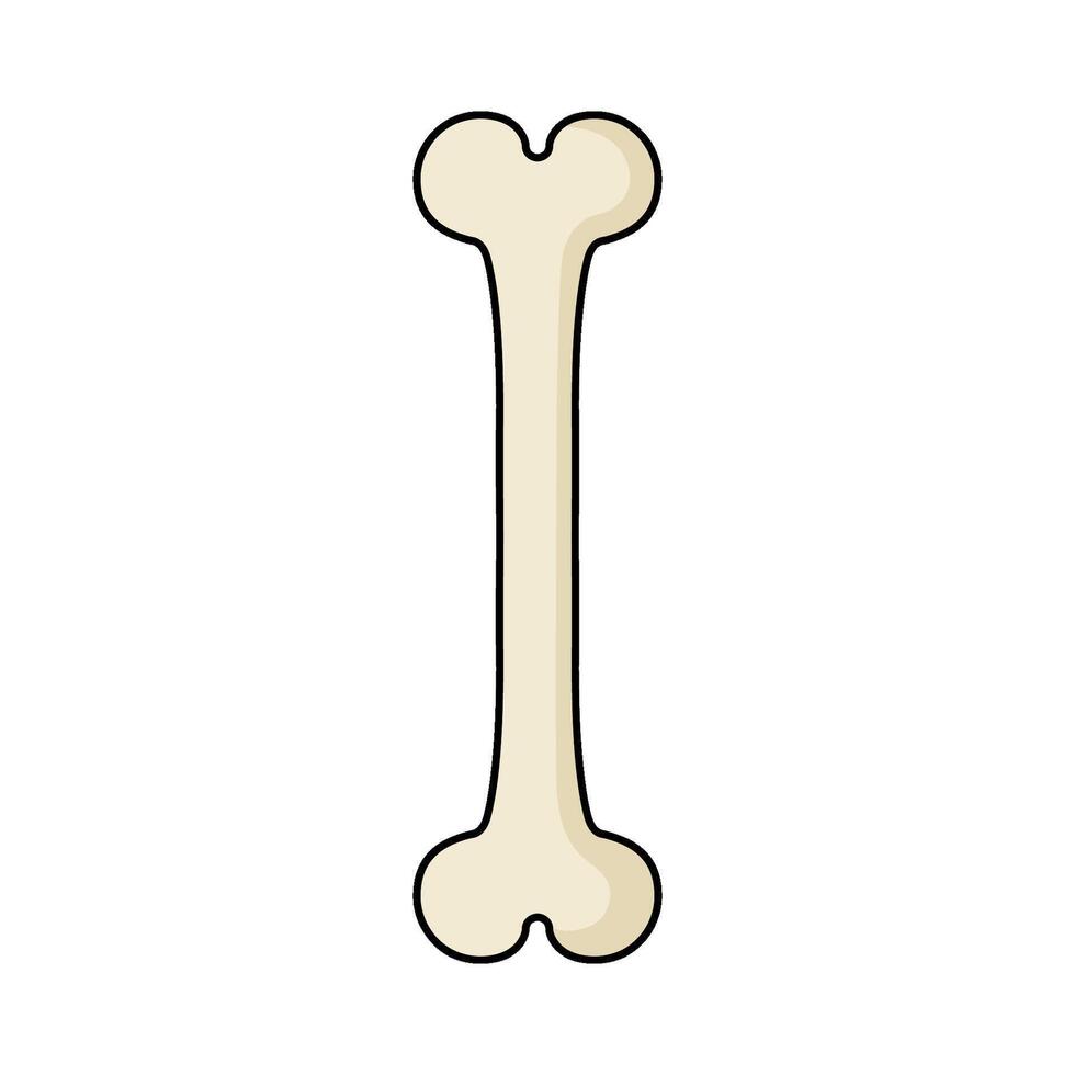 illustration of Simple Bone vector