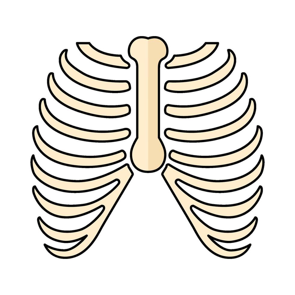 illustration of Rib Cage vector