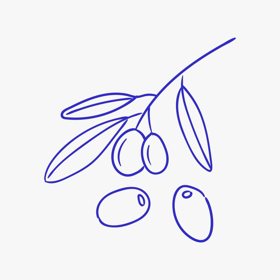 Olive branch with olives drawn in simple line art style on a white background showcasing fresh olives and leaves vector