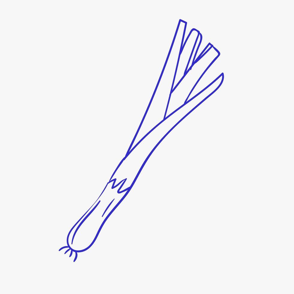 Fresh green onions ready for use in a variety of culinary dishes in the kitchen setting vector