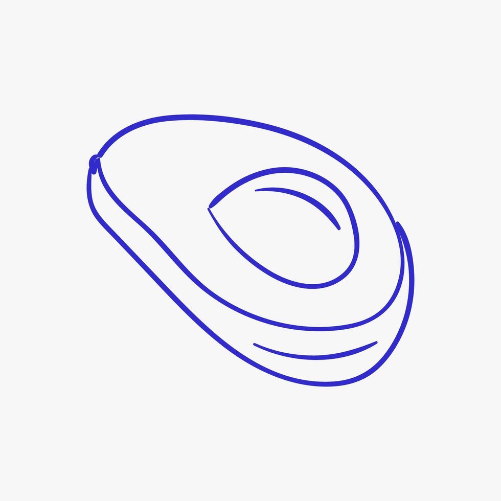 Detailed line drawing of an avocado showing its shape, pit, and clean contours on white background vector