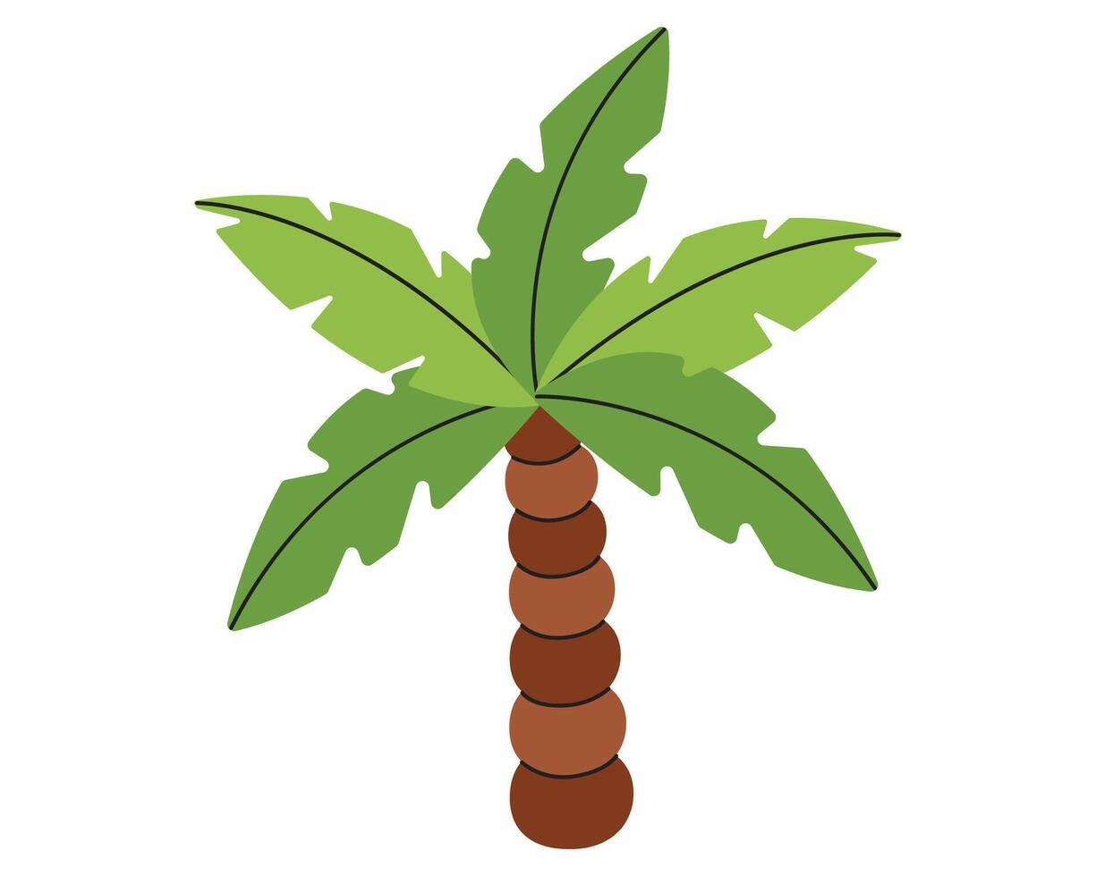Cartoon palm tree. illustration in flat style vector