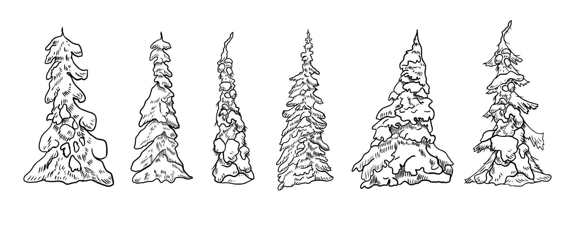 Snowy pine trees hand drawn black and white outline set illustration. Forest clipart of fir, spruce in monochrome lines for Christmas cards, seasonal designs. Winter woodland trees ink sketch. vector