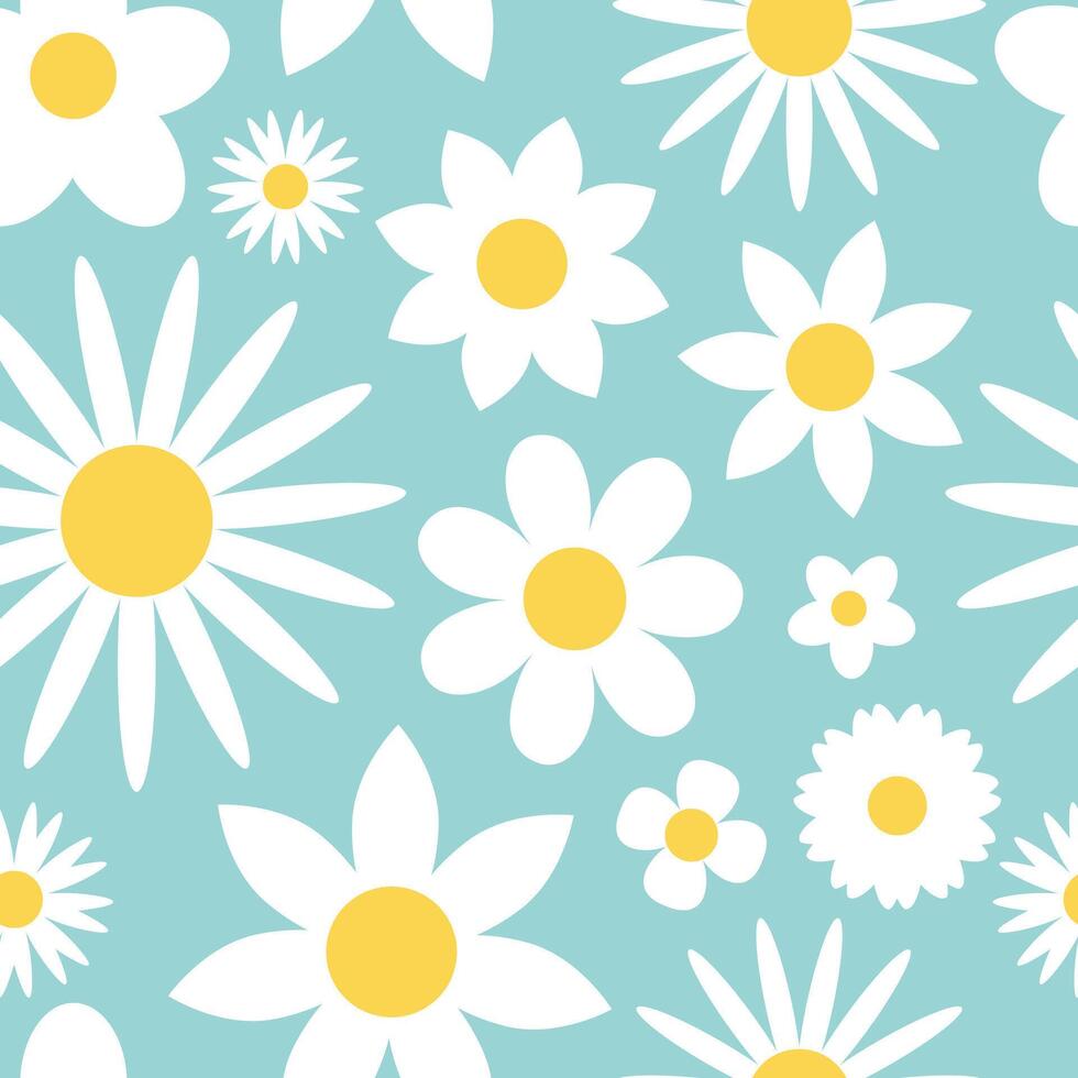 Floral pattern with white flowers. Seamless daisy background in turquoise tones. vector