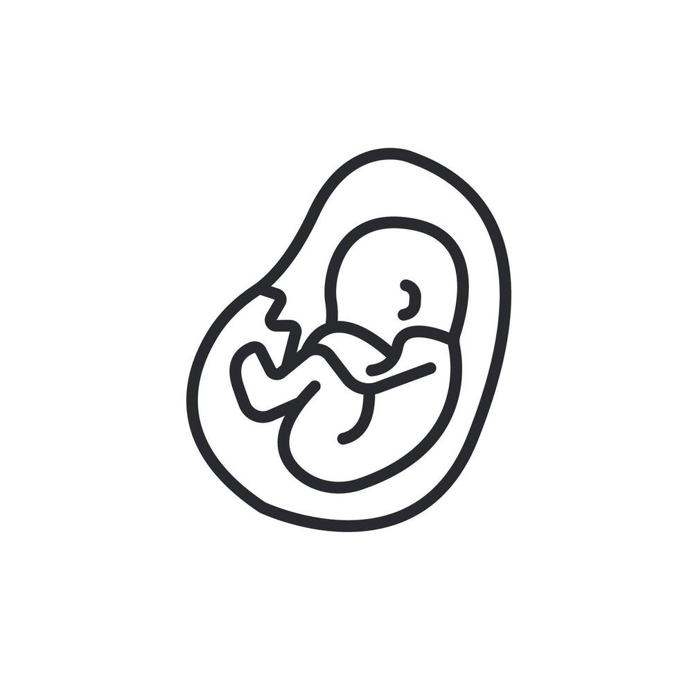 embryo icons isolated on White vector
