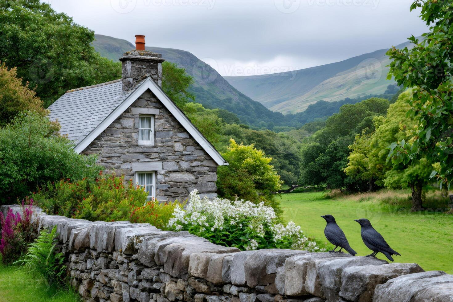 Two birds resting on stone wall overlooking idyllic Snowdonia cottage photo