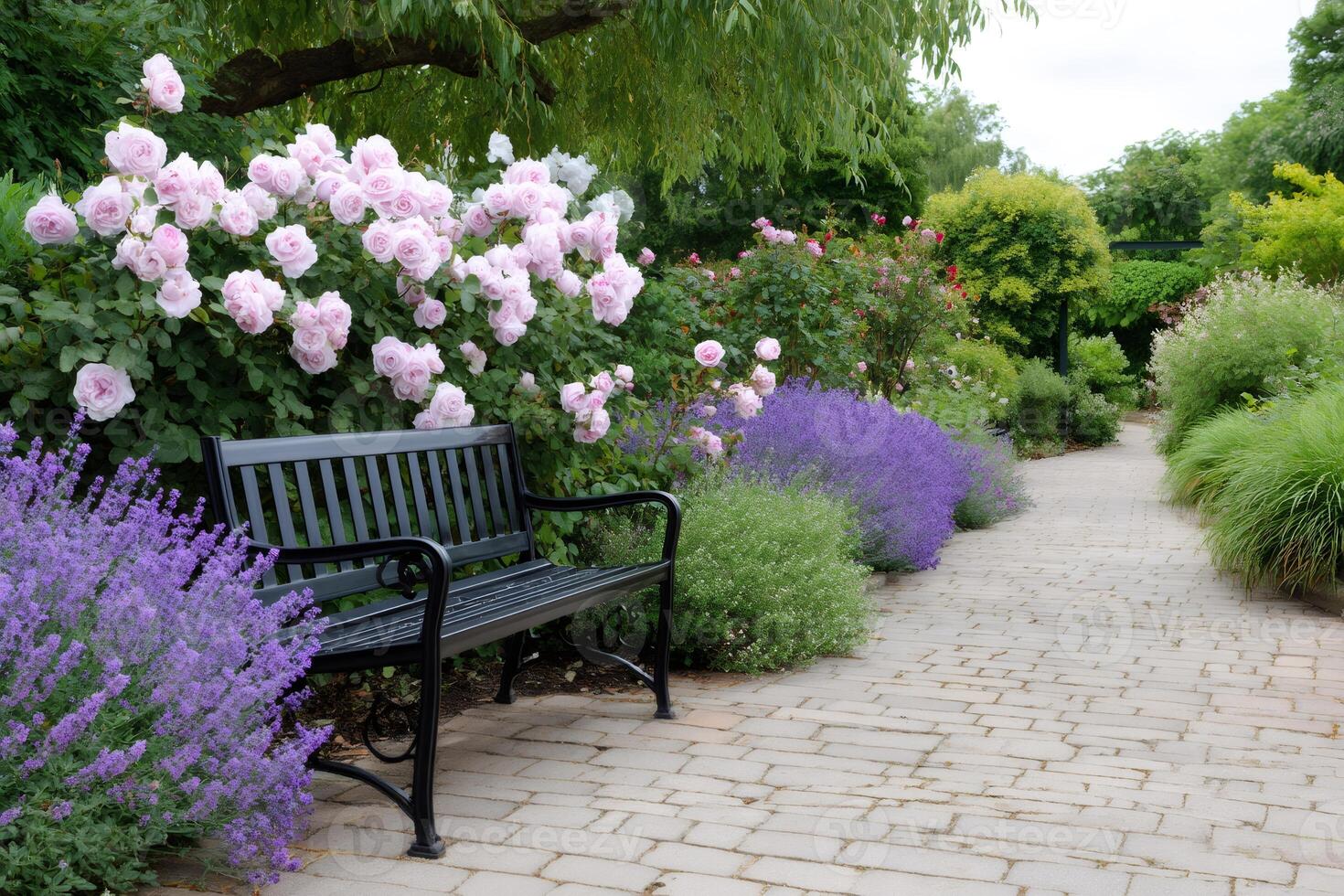 Bench inviting to relax in a peaceful rose garden with lavender photo