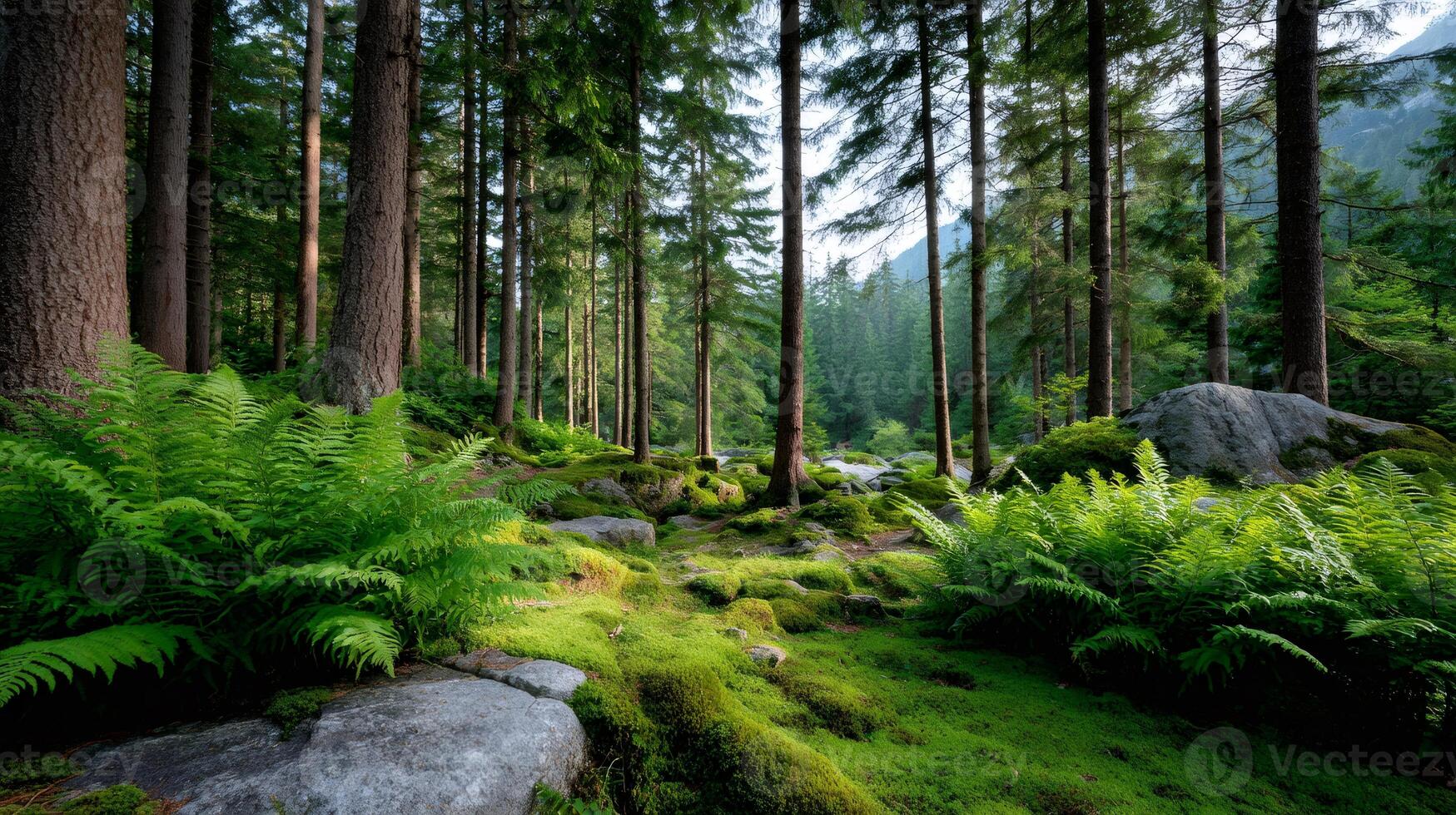 Lush green forest floor with ferns and moss growing photo