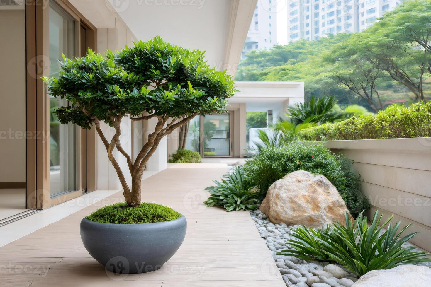 Potted bonsai tree decorating modern building terrace photo