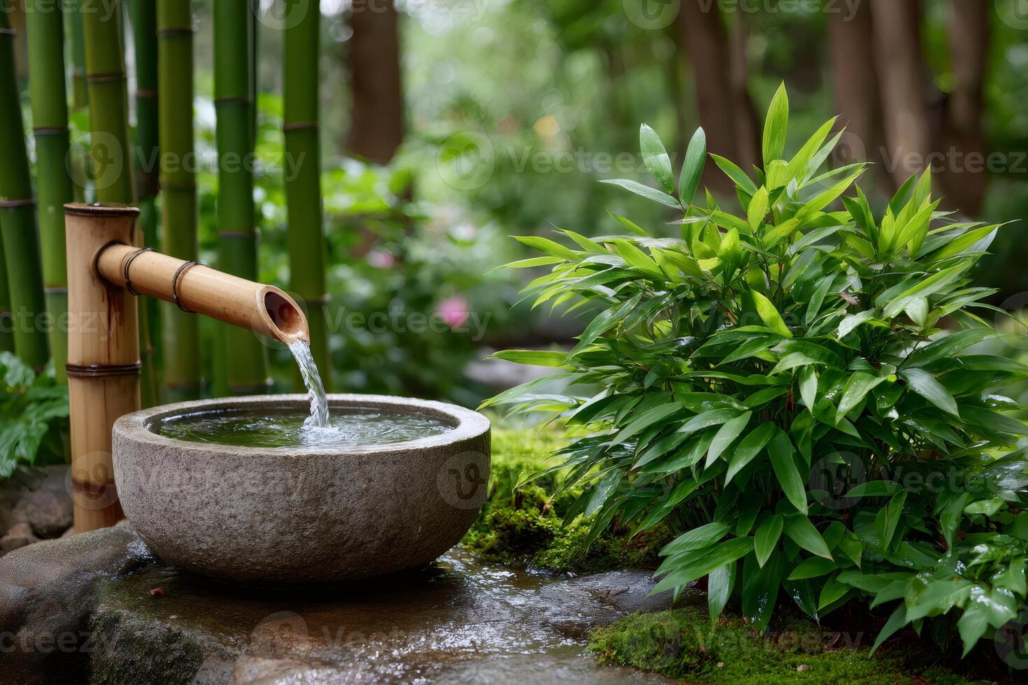 Japanese Tsukubai in a Lush Garden Setting with Bamboo Fountain Pouring Water into Stone Basin photo