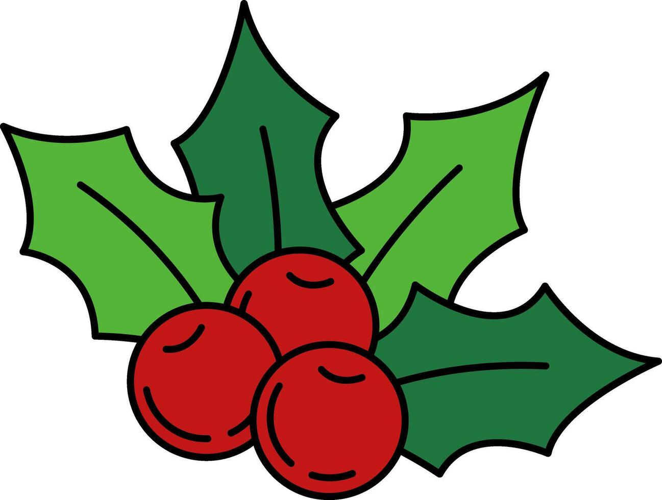 isolate illustration of holly berries vector