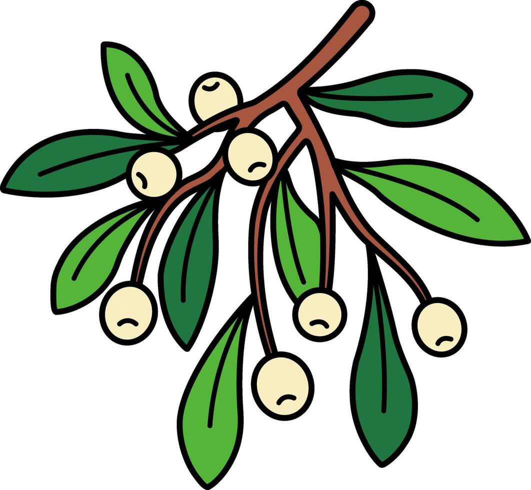 illustration of a mistletoe branch vector
