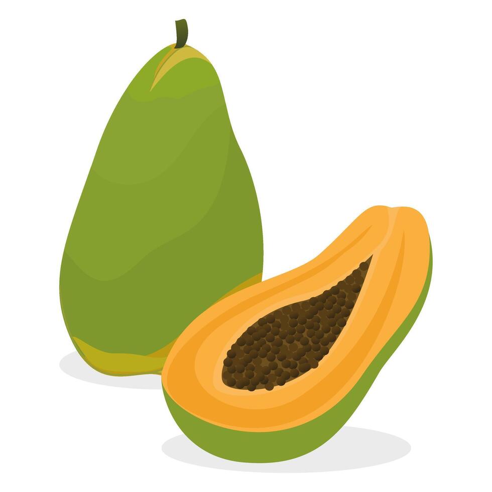 Ripe papaya whole fruit and half isolated on white background. illustration of tropical exotic fruits in flat style. vector