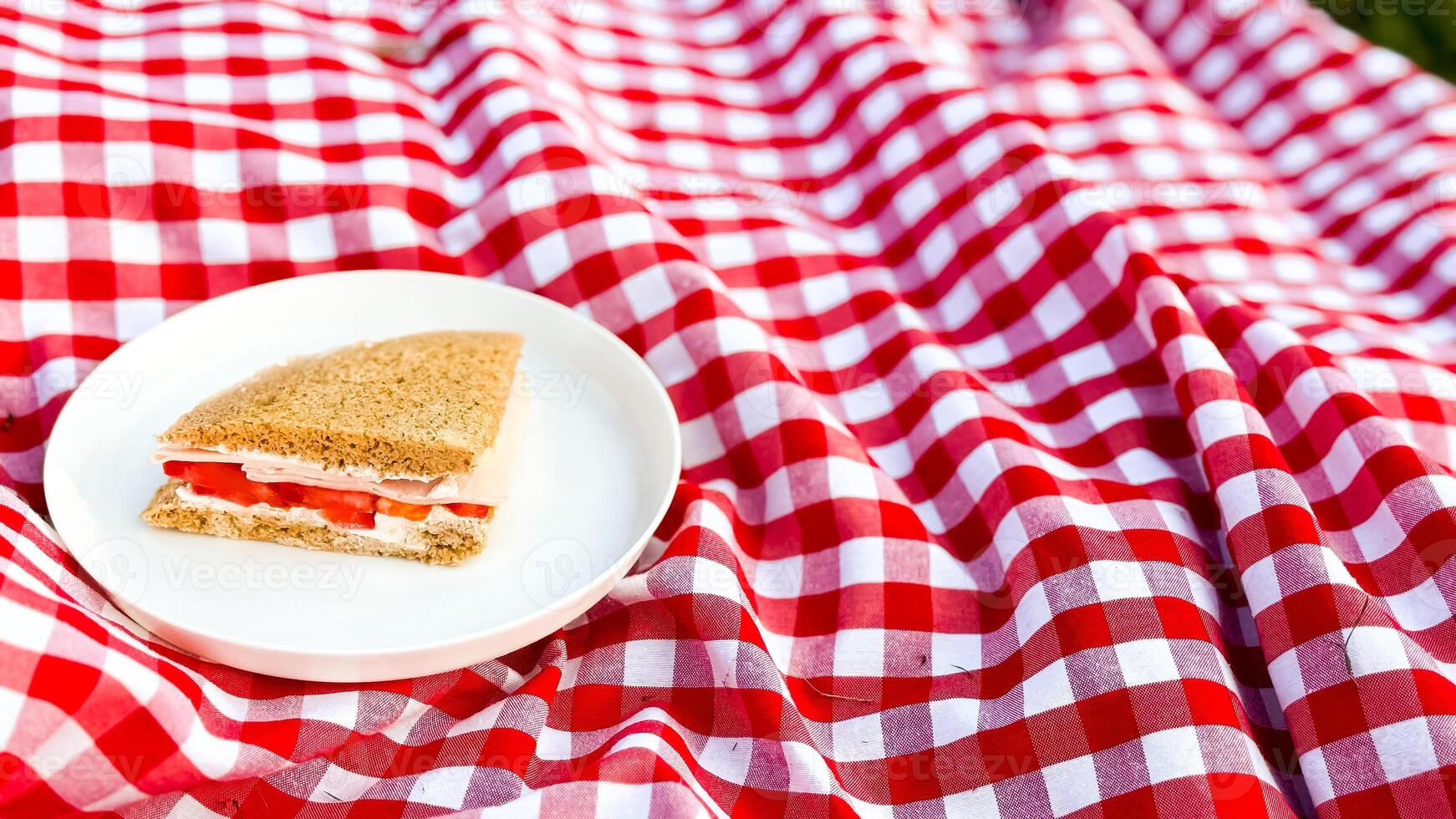 Simple sandwich on checkered tablecloth at outdoor picnic setting photo