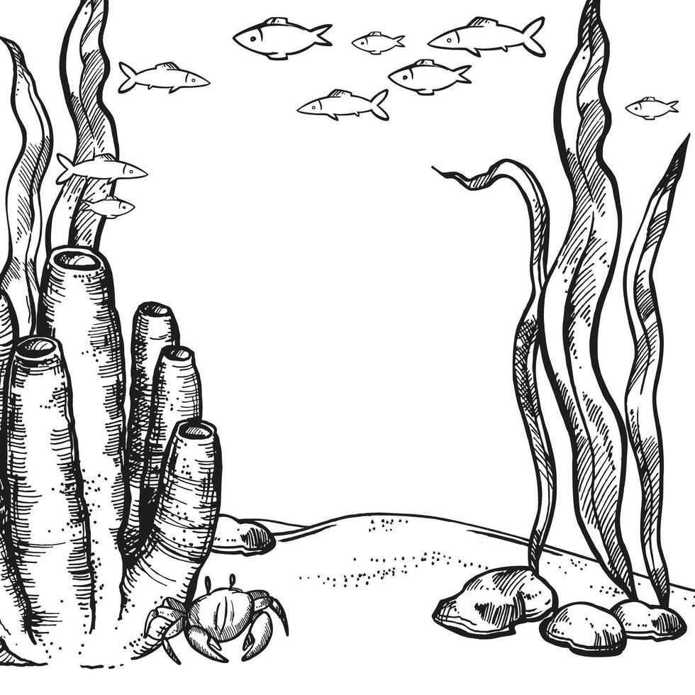 illustration of the seabed, inhabitants of the depths, hand drawn underwater algae, plant, tubular sponge corals at bottom of sea, ocean, monochrome black white sketch of reef, marine line art vector