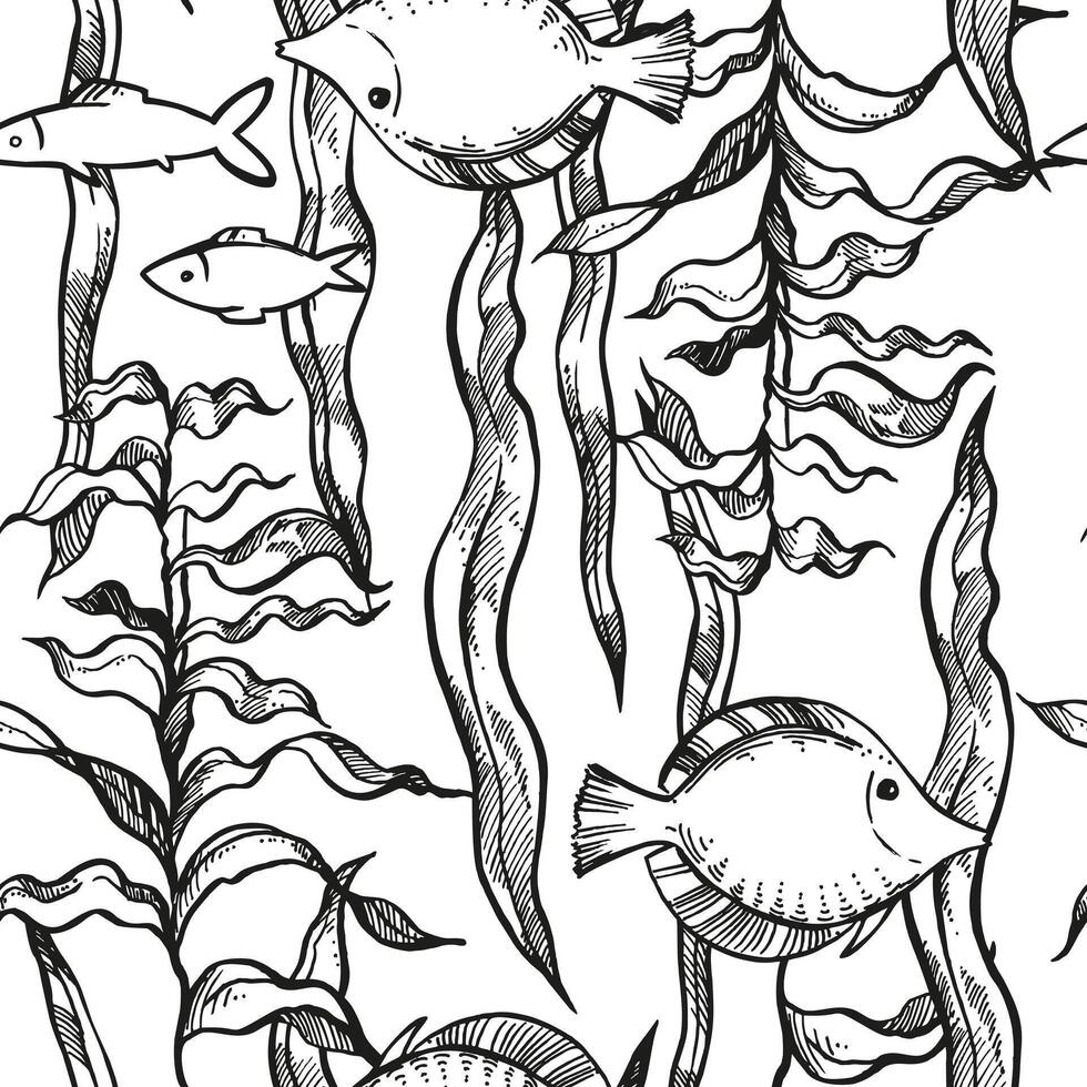 illustration of seabed, seamless pattern of depths, hand drawn underwater algae, plant at bottom of sea, ocean, tropical fishes, monochrome black and white sketch of reef, marine line art vector