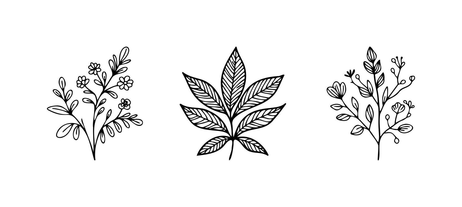 Botanical illustrations for hand drawn boho art vector