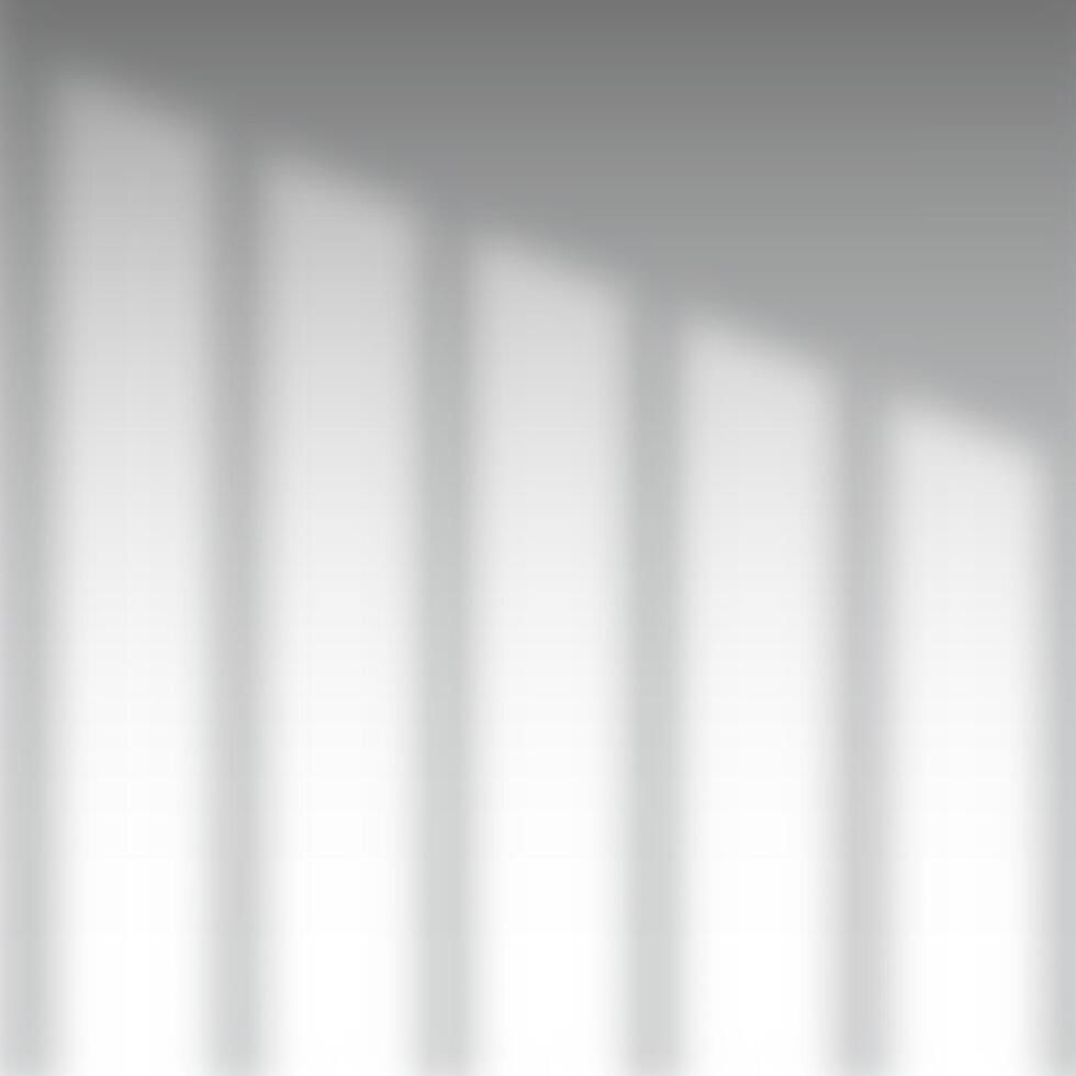 Window shadow overlay in shades of grey and white vector