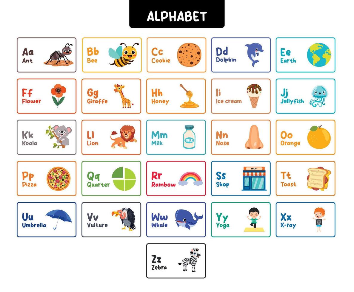 Alphabet Flashcards With Letters and Objects vector