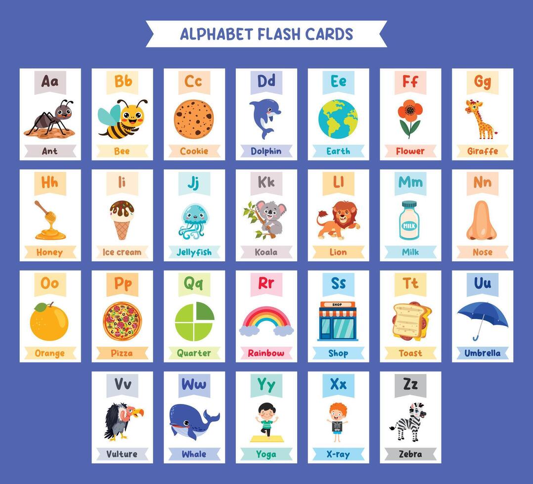 Colorful alphabet flash cards for kids vector