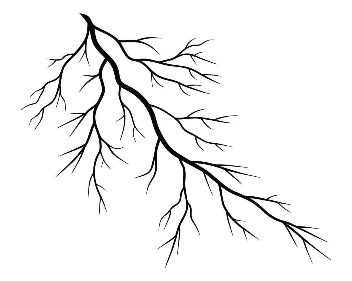 Stylized Silhouette of a Bare Tree Branch with Many Twigs vector