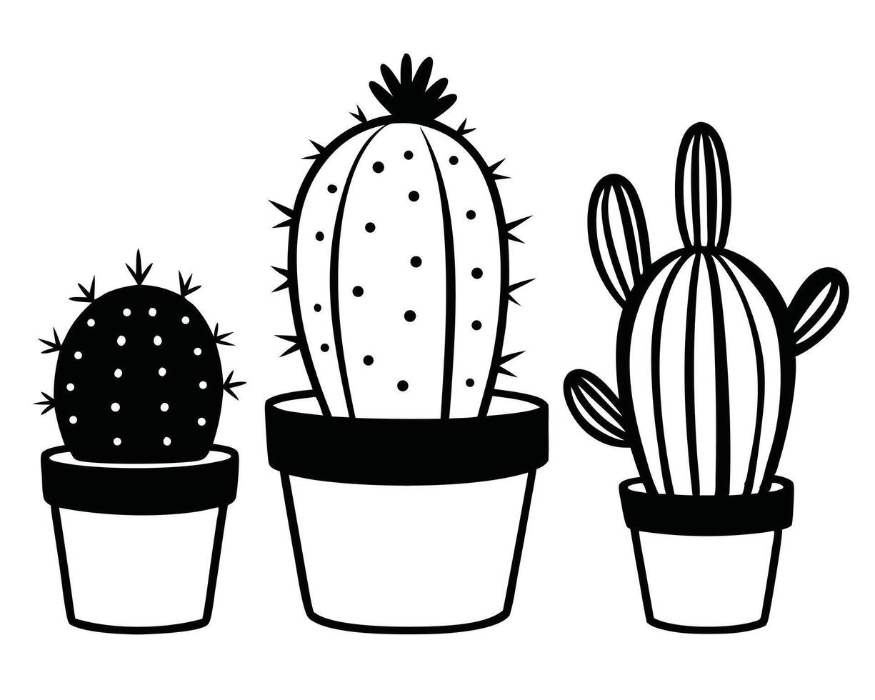Three potted cacti in a simple black and white line drawing style vector