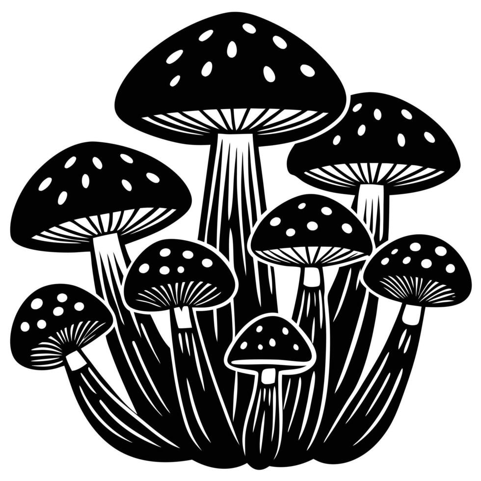 Black and White Illustration of Mushrooms with Spots on Caps vector