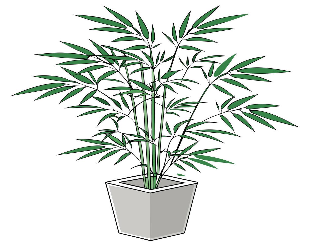 Stylized Bamboo Plant in a Square Pot on a White Background vector