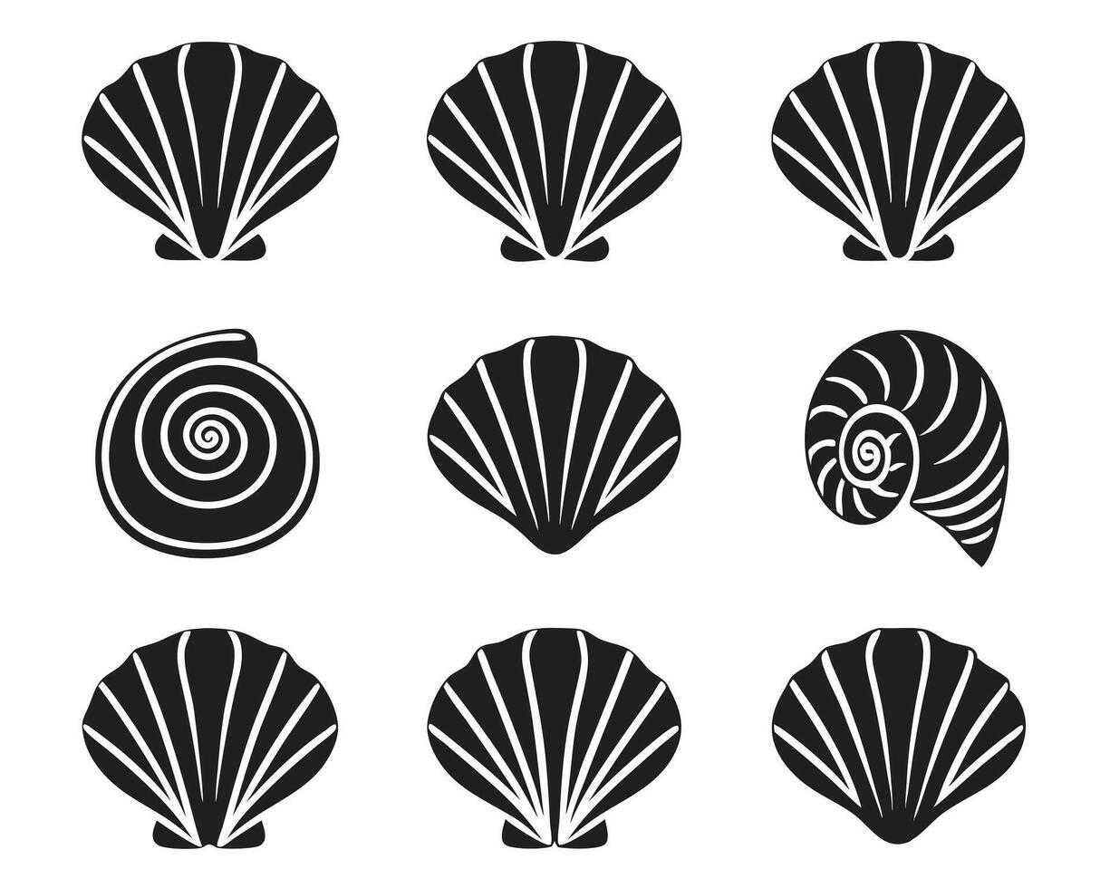 Black and White Seashell Collection Illustration of Various Shell Shapes vector